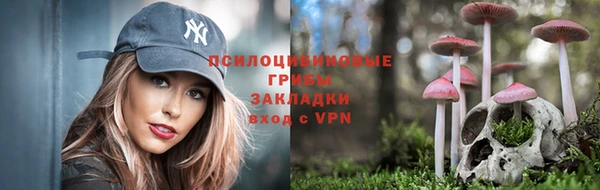 дживик Магадан