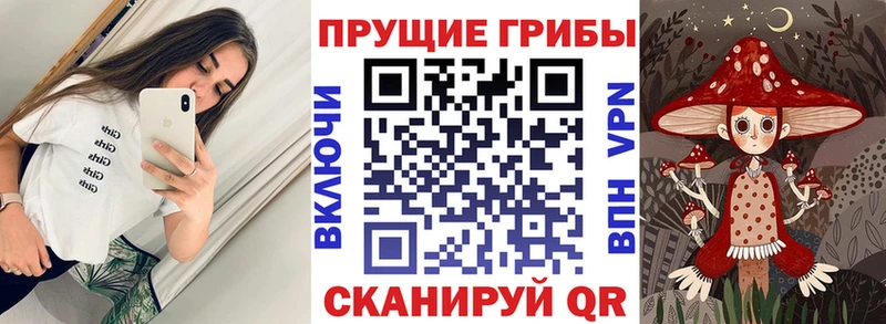 Псилоцибиновые грибы мицелий  Купить где  Ильский 