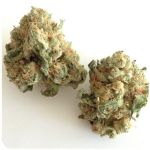 Шишки "White Widow"  (Белая вдова)  Гидропоника -  Бошка VHQ в Ильском